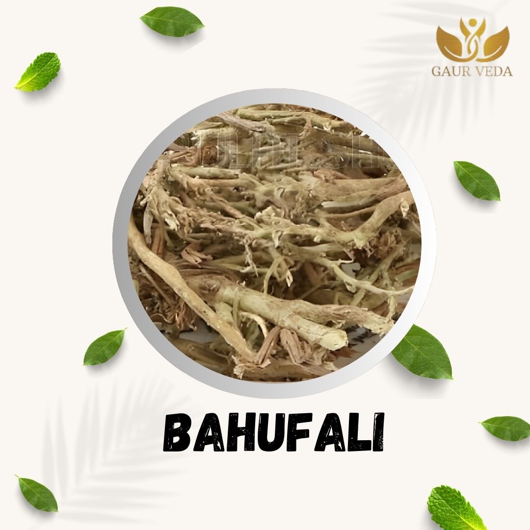 GAURVEDA Bahufali 100% Natural & Pure | Traditional Ayurvedic Herb/Seed/Powder | Supports Wellness & Daily Health | Ideal for Herbal Remedies, 100 Grams