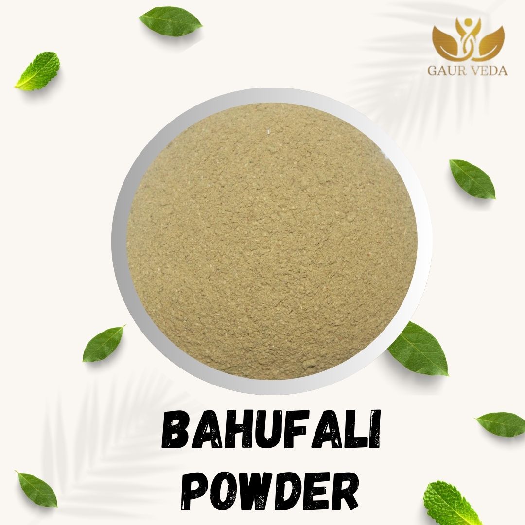 GAURVEDA Bahufali Powder 100% Natural & Pure | Traditional Ayurvedic Herb/Seed/Powder | Supports Wellness & Daily Health | Ideal for Herbal Remedies, 100 Grams