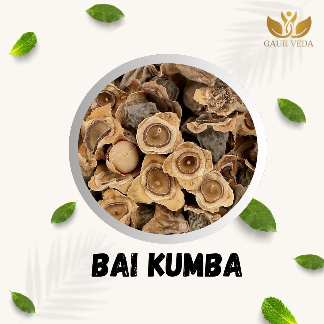 GAURVEDA Bai Kumba Whole Plant | Alternanthera Sessilis | Matsyakshi Herb | Herbal Raw Material for and Herbal Applications | Dried Botanical Ingredient (100 Grams)