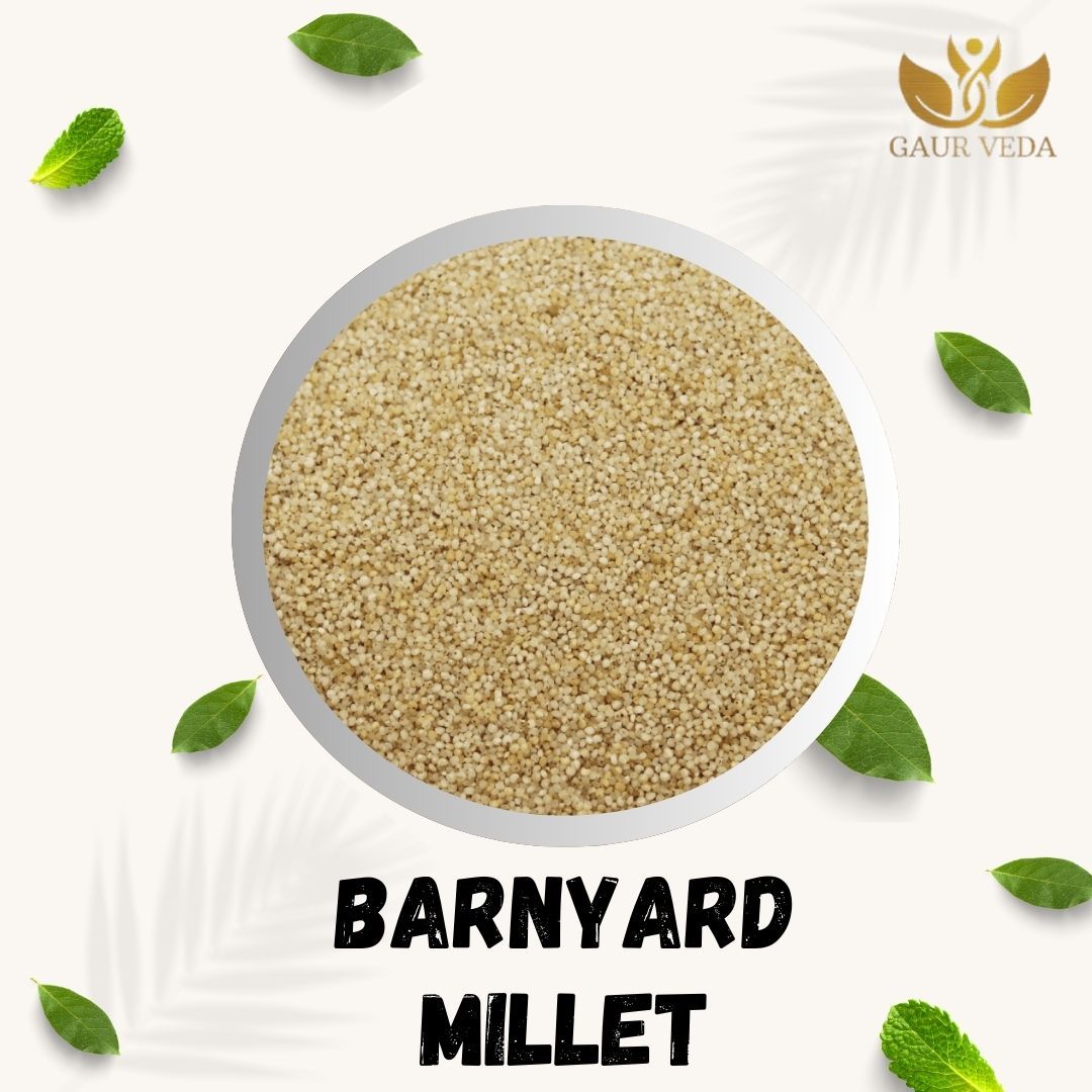 GAURVEDA Barnyard Millet - Gluten-Free Superfood, Rich in Fiber & Nutrients - Healthy Diet Staple for Weight Management & Digestive Health | 1000 Grams