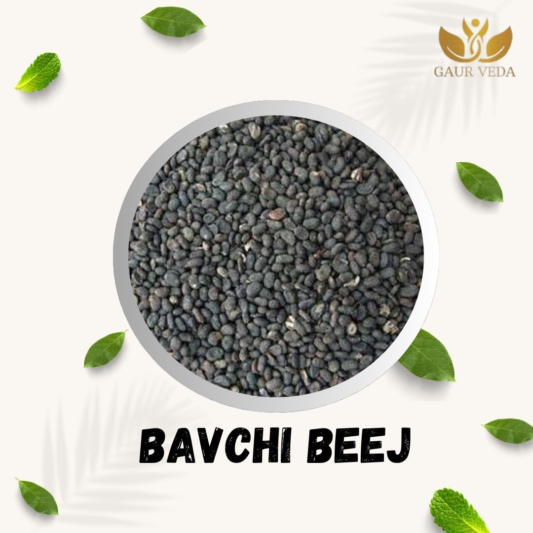 GAURVEDA Bavchi beej 100% Natural & Pure | Traditional Ayurvedic Herb/Seed/Powder | Supports Wellness & Daily Health | Ideal for Herbal Remedies, 100 Grams