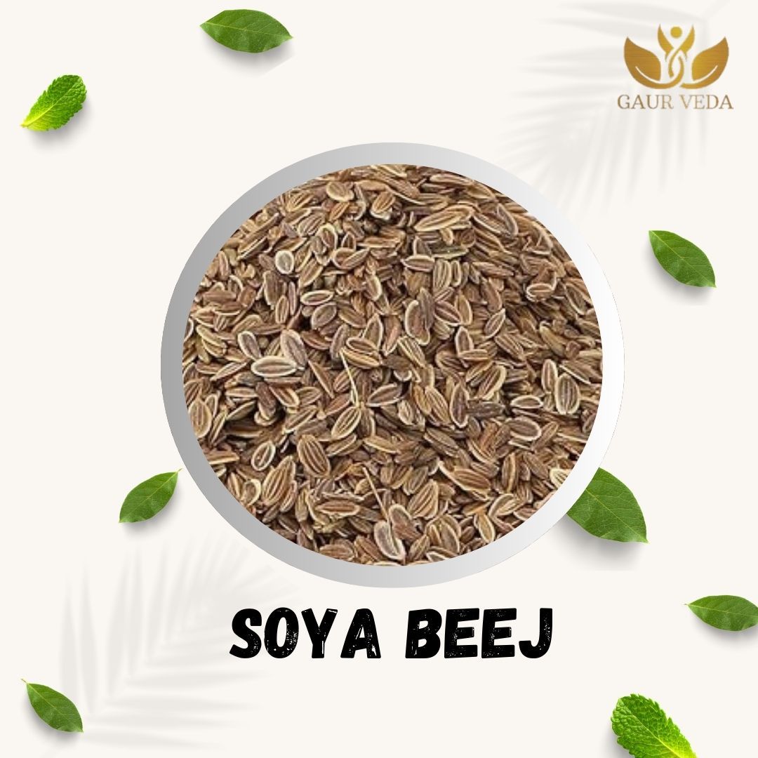 GAURVEDA Soya Beej | Natural Soybean Seeds Rich in Protein & Nutrients | Healthy Vegetarian Diet Staple for Cooking & Sprouting (500g) | 100 Grams