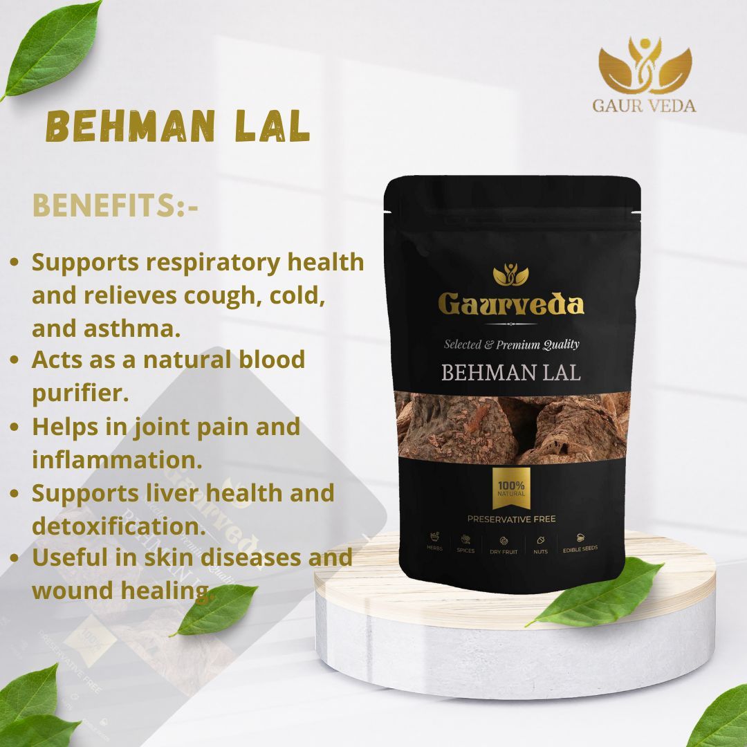 GAURVEDA Behman Lal Roots | Salvia Haematodes | Red Behman Root | Herbal Raw Material for Traditional Preparations and Ayurvedic Applications | Dried Botanical Ingredient (100 Grams)