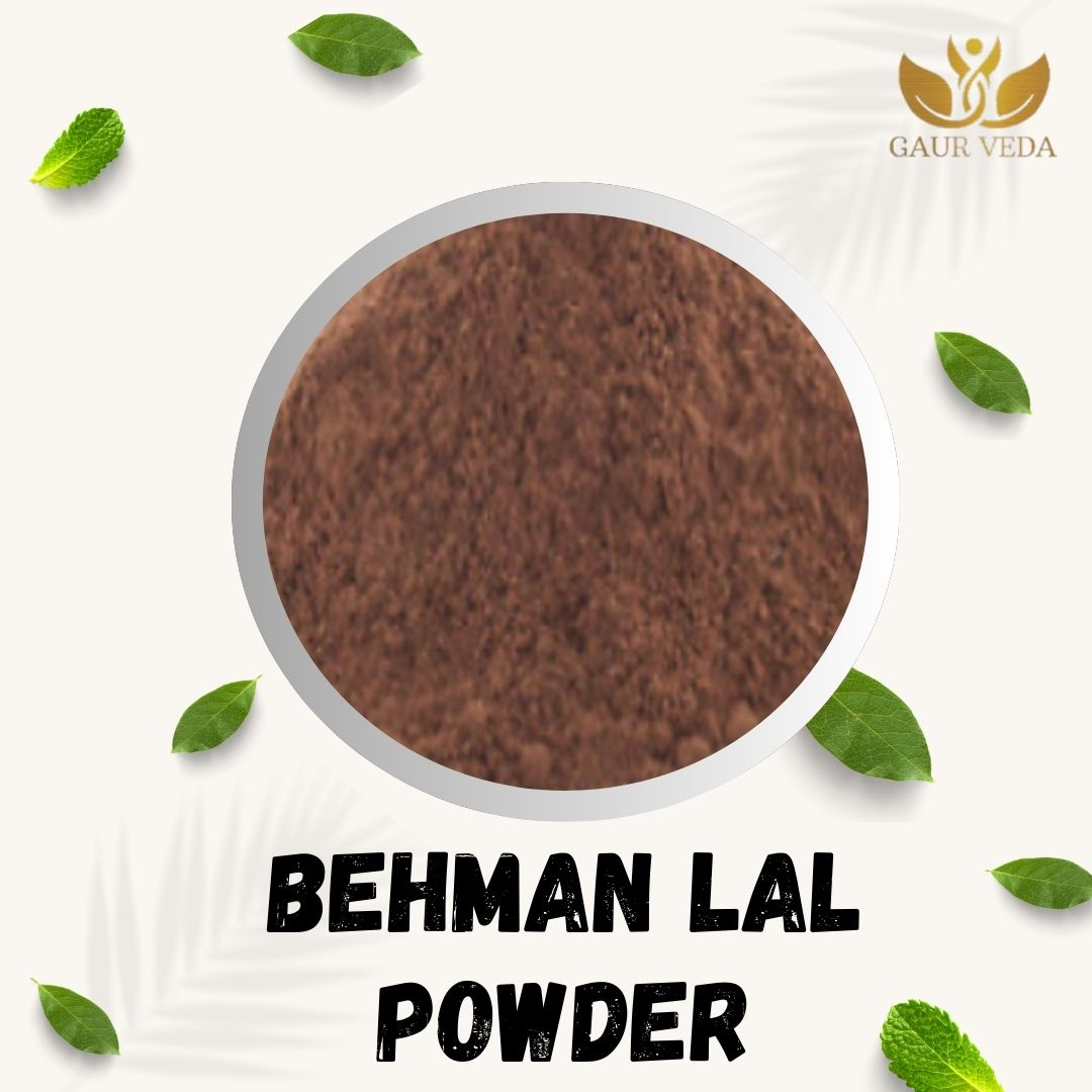 GAURVEDA Behman Lal Powder | Salvia Haematodes Root Powder | Red Behman Churna | Herbal Raw Material for and Herbal Formulations | Dried Botanical Churna (100 Grams)