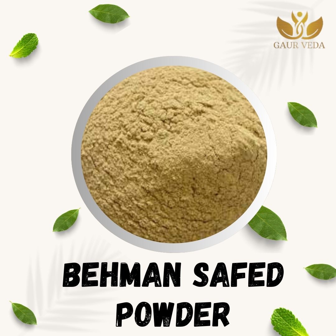 GAURVEDA Behman safed Powder 100% Natural & Pure | Traditional Ayurvedic Herb/Seed/Powder | Supports Wellness & Daily Health | Ideal for Herbal Remedies, 100 Grams