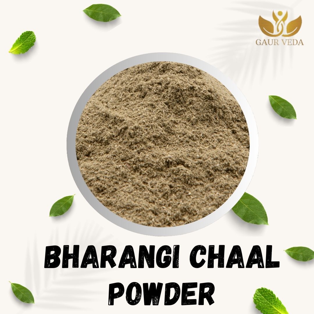 GAURVEDA Bharangi Chaal Powder | Clerodendrum Serratum Bark Powder | Bharangi Stem Bark Churna | Herbal Raw Material for and Herbal Formulations | Dried Churna (100 Grams)