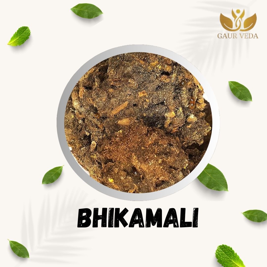 GAURVEDA Bhikamali Whole Plant | Aristolochia Indica | Isharmul | Herbal Raw Material for Traditional Preparations and Ayurvedic Applications | Dried Botanical Ingredient (100 Grams)
