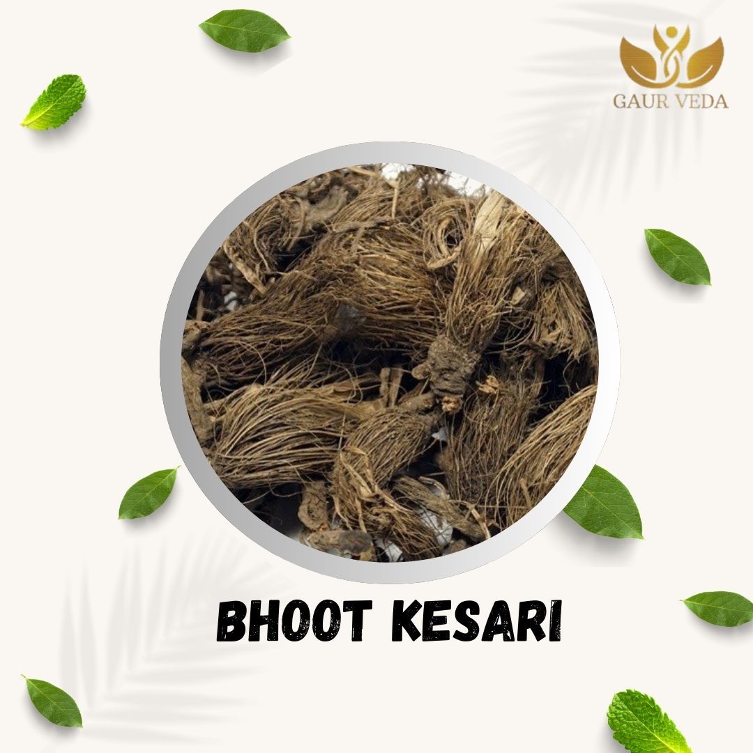 GAURVEDA Bhoot Kesari | Celosia Cristata | Cockscomb Seeds | Herbal Raw Material for and Herbal Applications | Dried Botanical Ingredient (100 Grams)