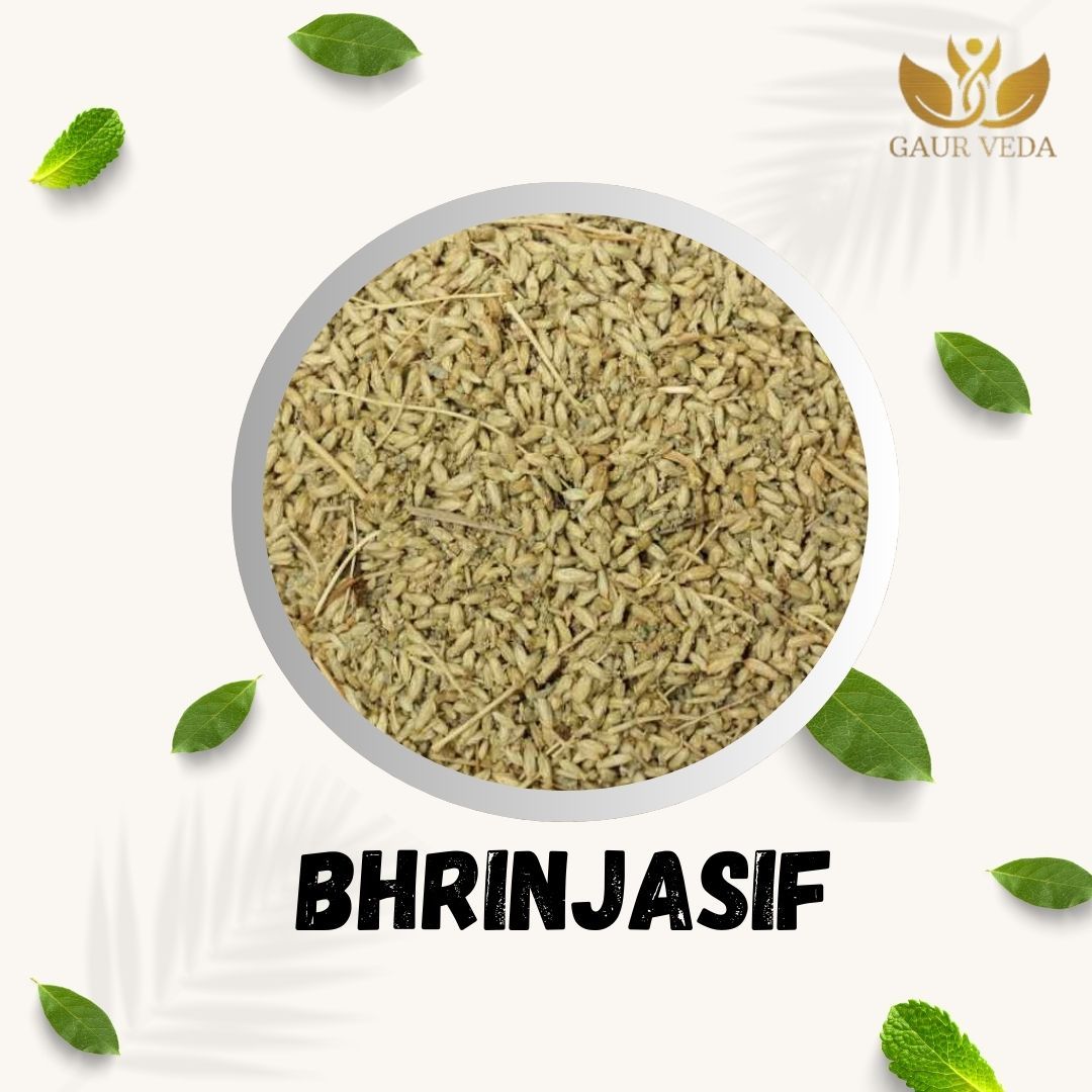 GAURVEDA Brinjasif 100% Natural & Pure | Traditional Ayurvedic Herb/Seed/Powder | Supports Wellness & Daily Health | Ideal for Herbal Remedies, 200 Grams