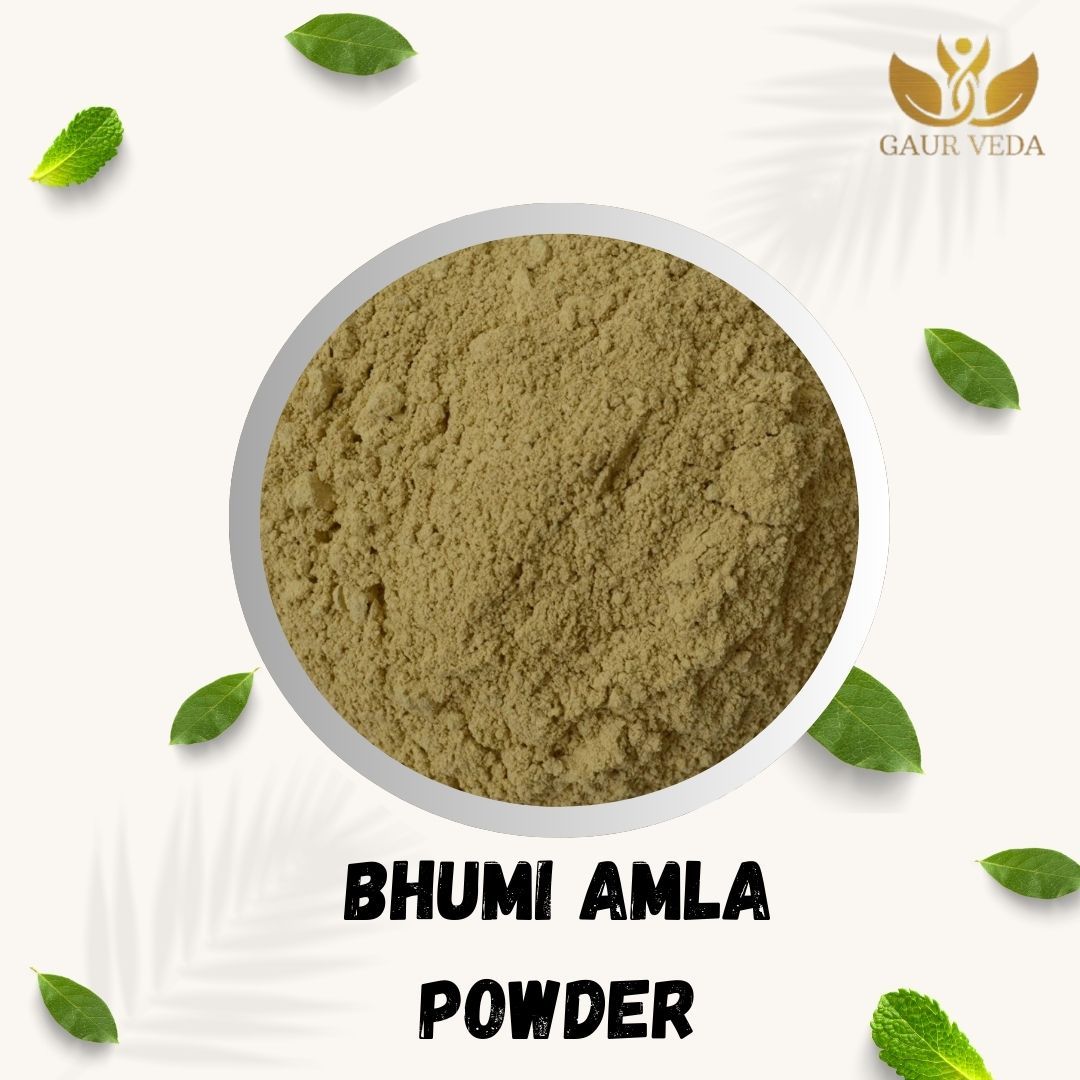 GAURVEDA Bhumi Amla Powder | Phyllanthus Niruri Powder | Stonebreaker Herb Powder | Herbal Raw Material for and Herbal Formulations | Dried Botanical Churna (100 Grams)