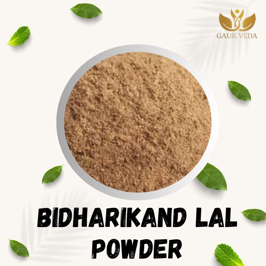 GAURVEDA Bidhari Kand lal Powder 100% Natural & Pure | Traditional Ayurvedic Herb/Seed/Powder | Supports Wellness & Daily Health | Ideal for Herbal Remedies, 100 Grams