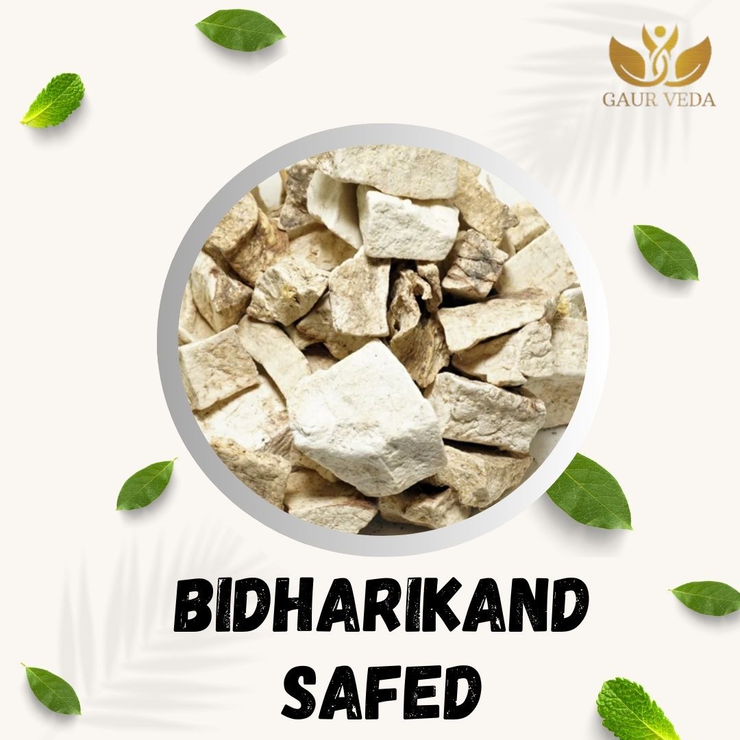 GAURVEDA Bidhari Kand safed 100% Natural & Pure | Traditional Ayurvedic Herb/Seed/Powder | Supports Wellness & Daily Health | Ideal for Herbal Remedies, 100 Grams