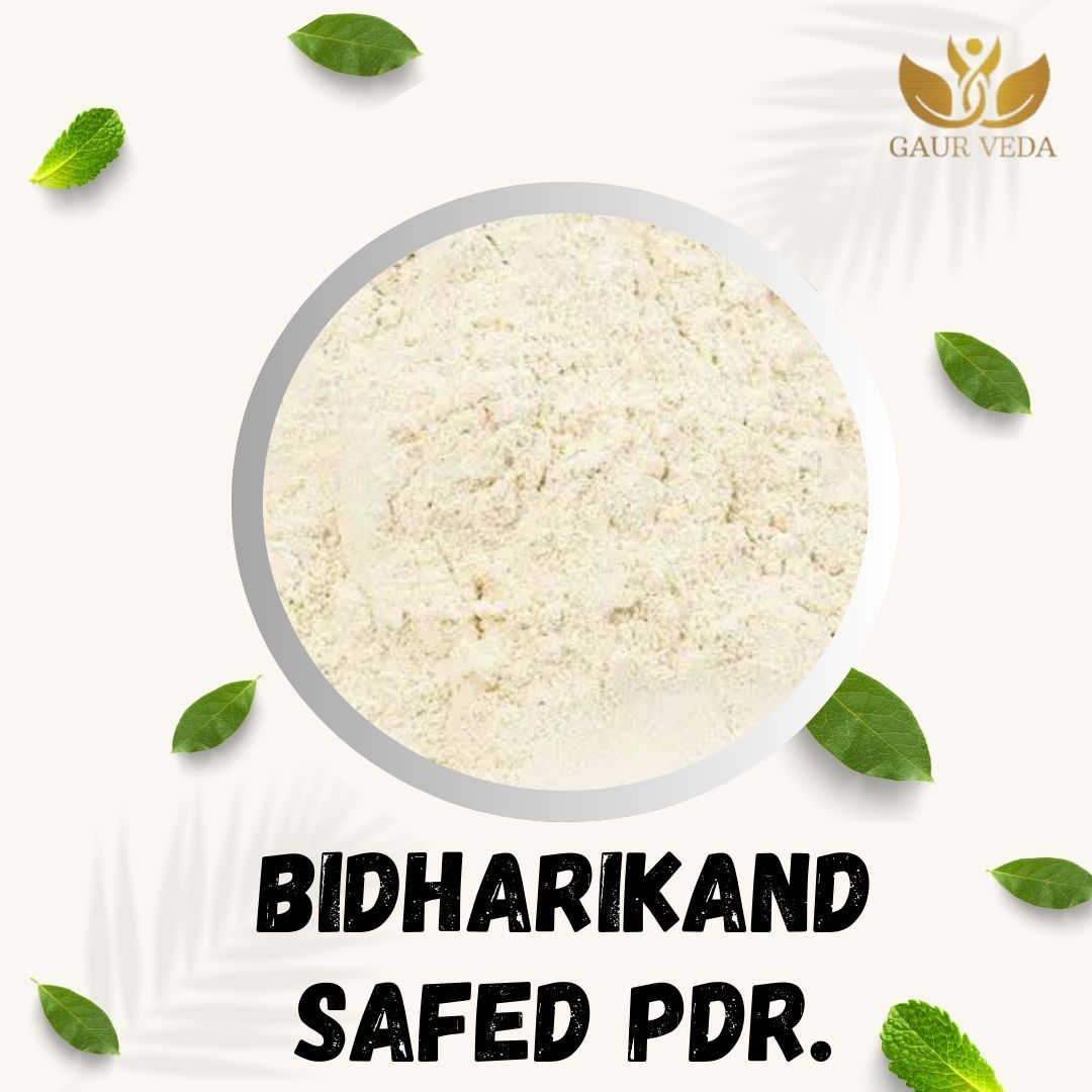 GAURVEDA Bidhari Kand safed Powder 100% Natural & Pure | Traditional Ayurvedic Herb/Seed/Powder | Supports Wellness & Daily Health | Ideal for Herbal Remedies, 100 Grams