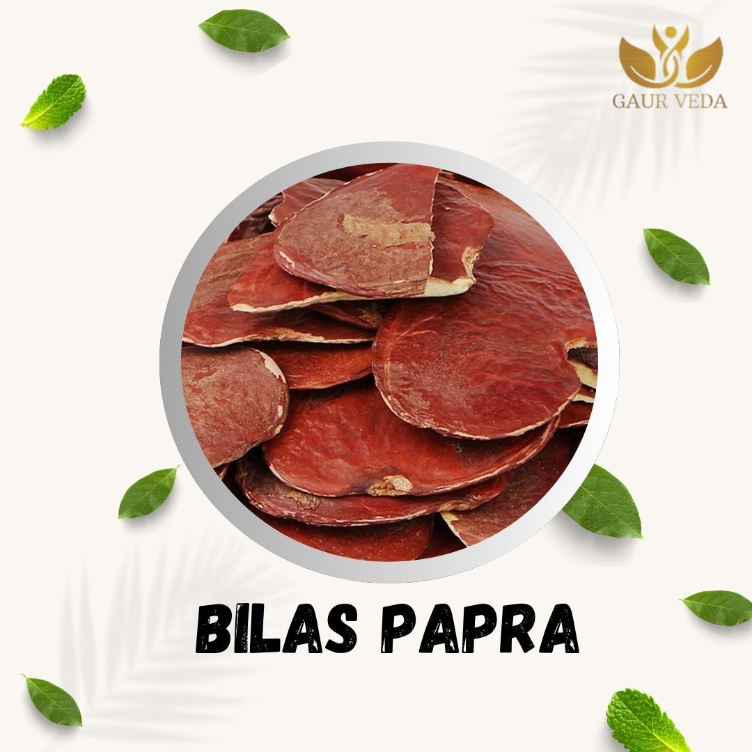 GAURVEDA Bilas Papra | Traditional Indian Snack | Authentic Taste | Crunchy & Delicious | Perfect for Tea Time | Family Pack | 100 Grams