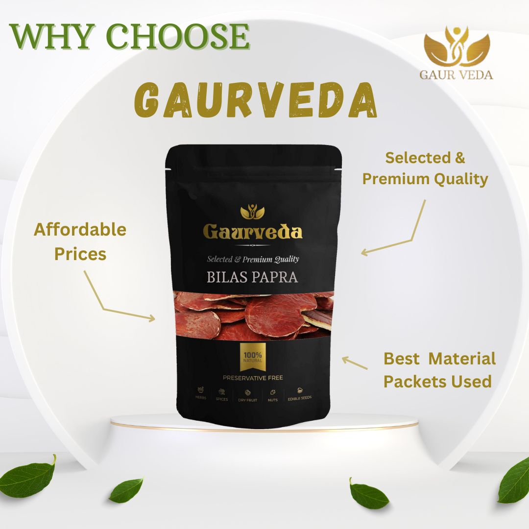 GAURVEDA Bilas Papra | Traditional Indian Snack | Authentic Taste | Crunchy & Delicious | Perfect for Tea Time | Family Pack | 100 Grams