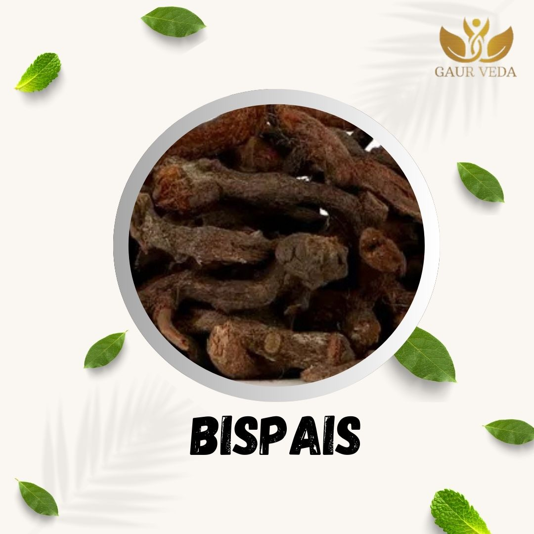 GAURVEDA Bispais 100% Natural & Pure | Traditional Ayurvedic Herb/Seed/Powder | Supports Wellness & Daily Health | Ideal for Herbal Remedies, 100 Grams
