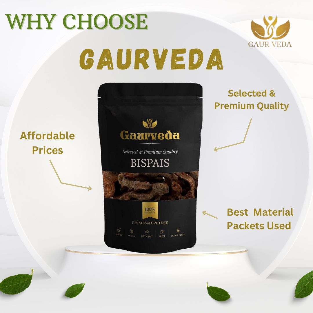 GAURVEDA Bispais 100% Natural & Pure | Traditional Ayurvedic Herb/Seed/Powder | Supports Wellness & Daily Health | Ideal for Herbal Remedies, 100 Grams