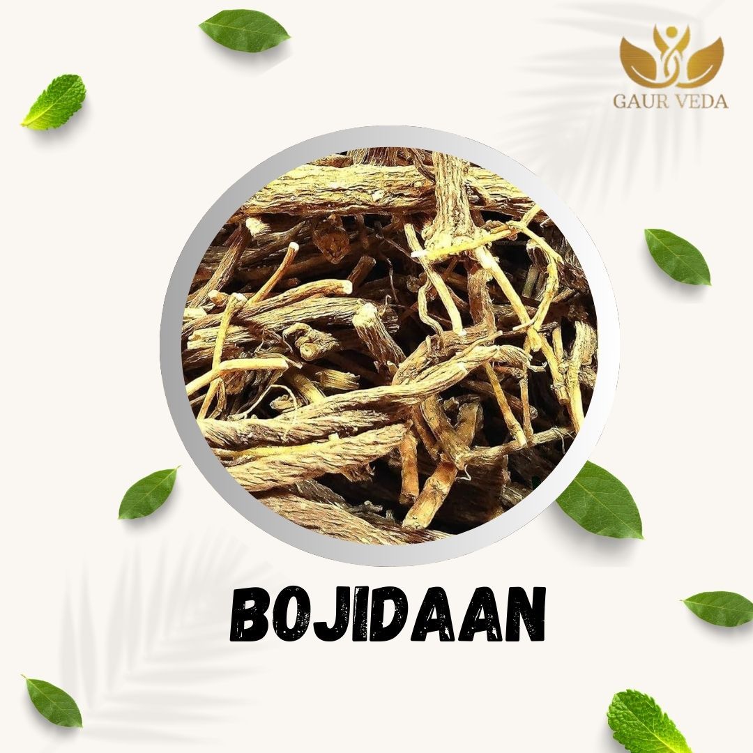 GAURVEDA Bojidaan 100% Natural & Pure | Traditional Ayurvedic Herb/Seed/Powder | Supports Wellness & Daily Health | Ideal for Herbal Remedies, 100 Grams