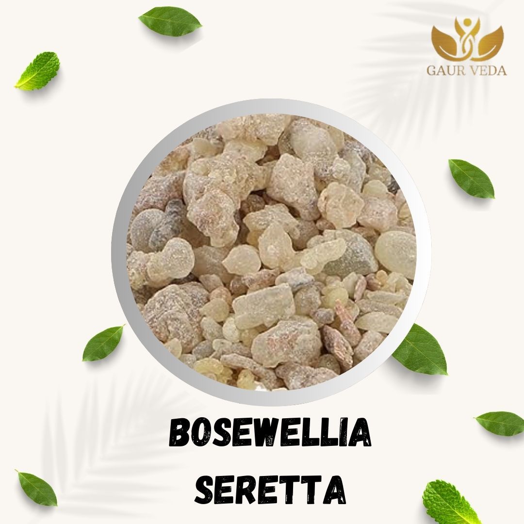 Gaurveda Boswellia Serrata - Shallaki Gum - Gond Kondru (100 Grams)