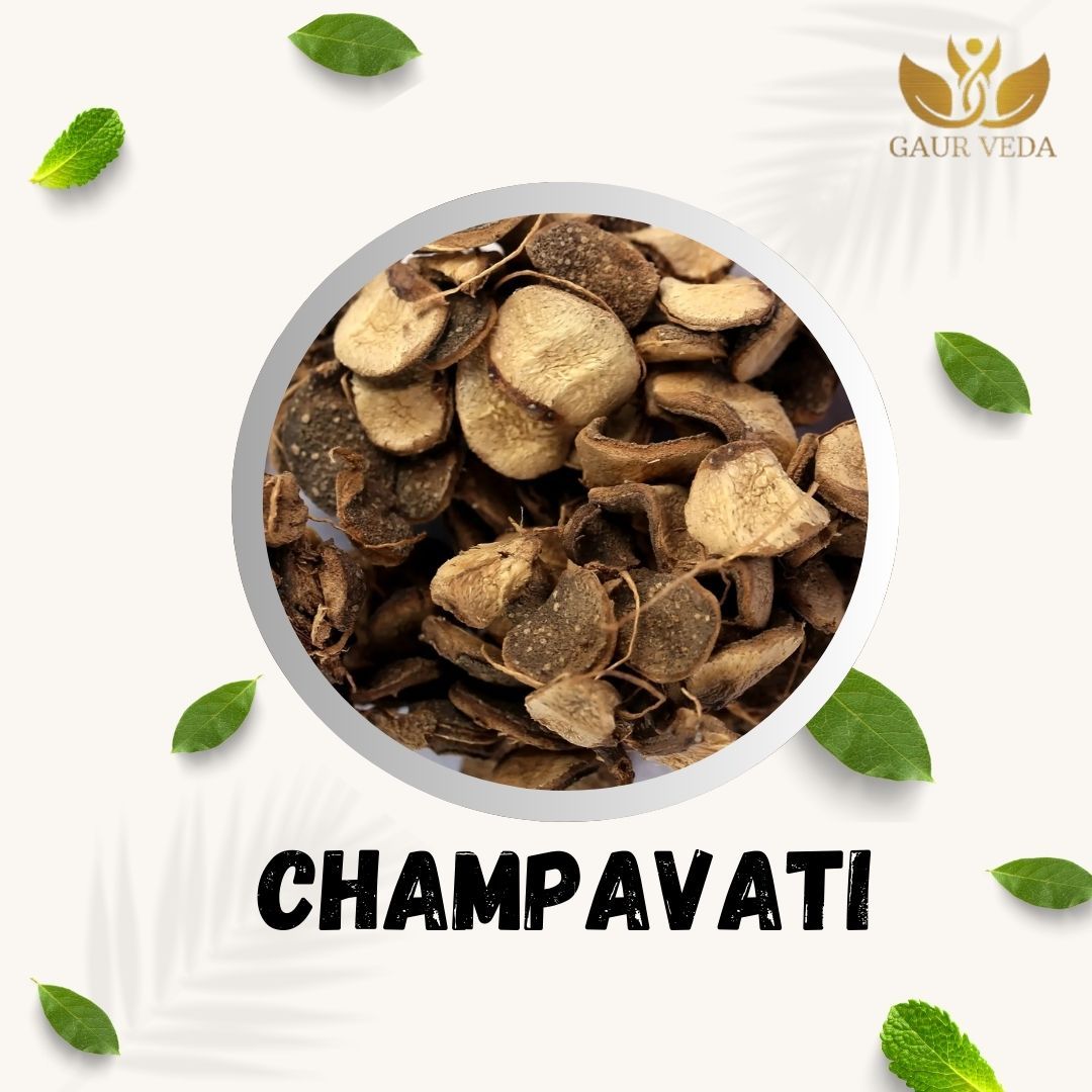 GAURVEDA Champavati 100% Natural & Pure | Traditional Ayurvedic Herb/Seed/Powder | Supports Wellness & Daily Health | Ideal for Herbal Remedies, 100 Grams