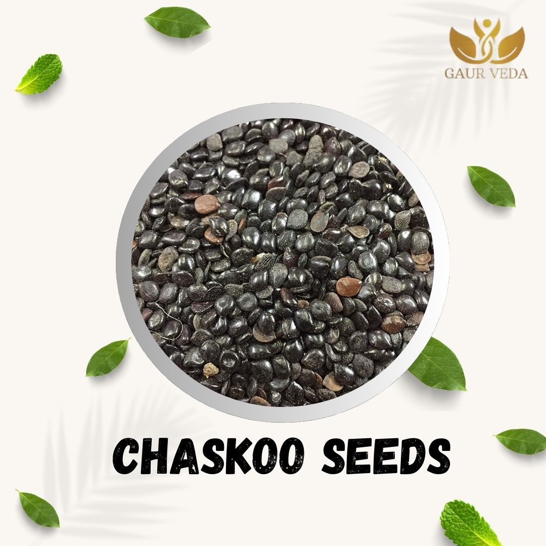 GAURVEDA Chaskoo Beej | Healthy & Natural Seeds | Nutrient Rich Superfood | Versatile Cooking Ingredient | Fresh & Pack | 100 Grams