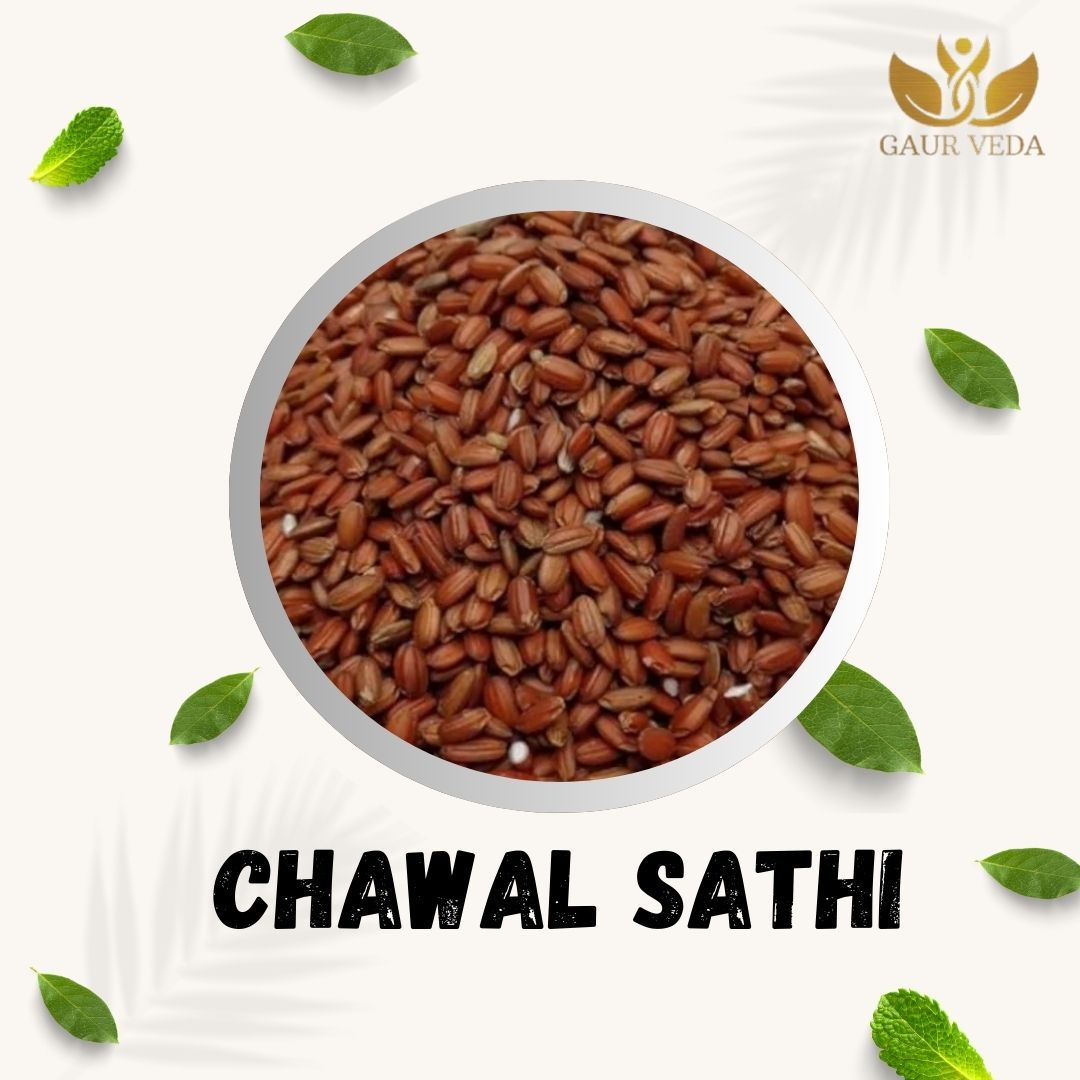 GAURVEDA Chawal sathi 100% Natural & Pure | Traditional Ayurvedic Herb/Seed/Powder | Supports Wellness & Daily Health | Ideal for Herbal Remedies, 100 Grams