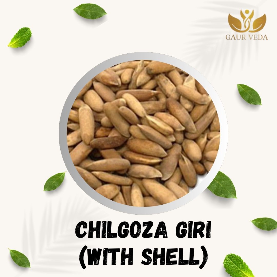 Gaurveda Pine Nuts with Shell -) ine nuts - chilgoza - Chilgoza Dry Fruits - Pine Nuts Dry Fruits (50 Grams)