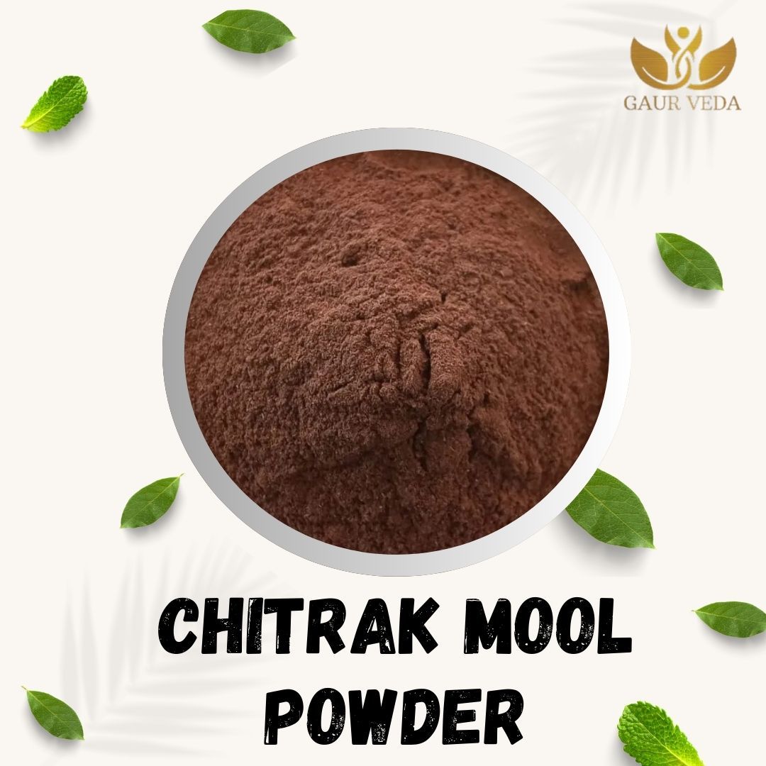 GAURVEDA Chitrakmool Powder 100% Natural & Pure | Traditional Ayurvedic Herb/Seed/Powder | Supports Wellness & Daily Health | Ideal for Herbal Remedies, 100 Grams