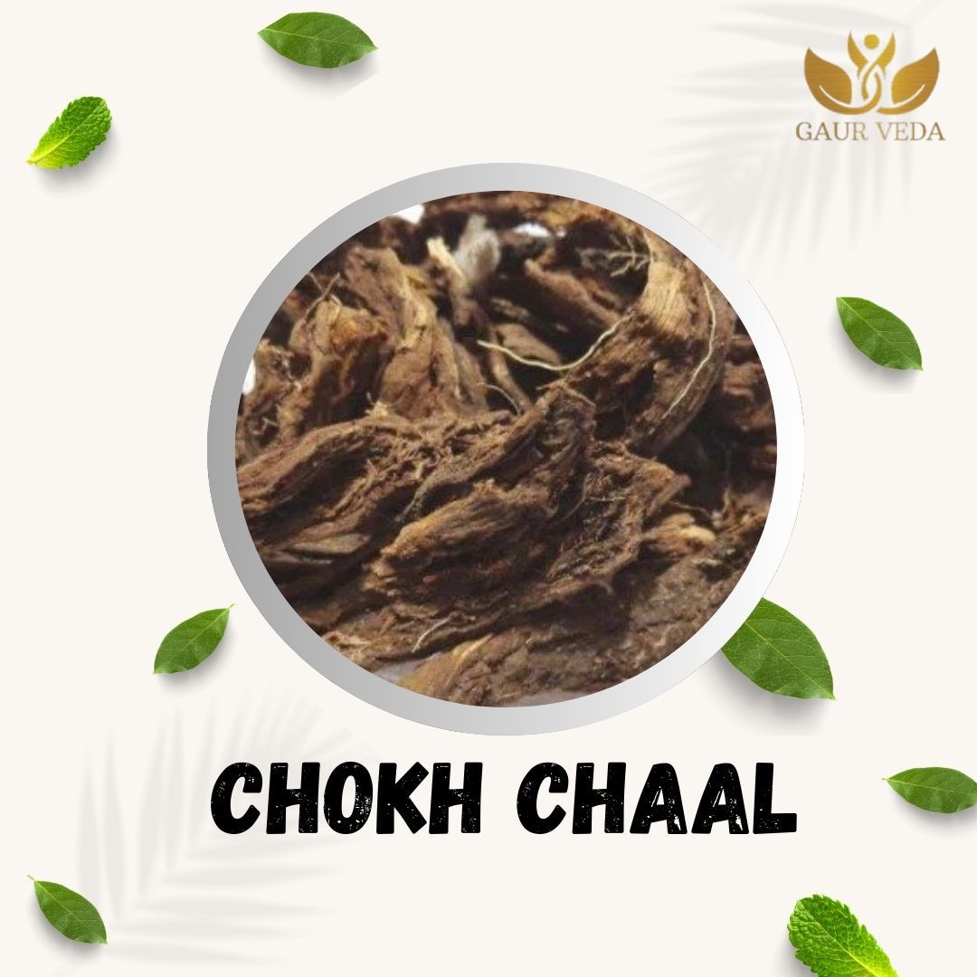 GAURVEDA Chokh lakdi 100% Natural & Pure | Traditional Ayurvedic Herb/Seed/Powder | Supports Wellness & Daily Health | Ideal for Herbal Remedies, 100 Grams