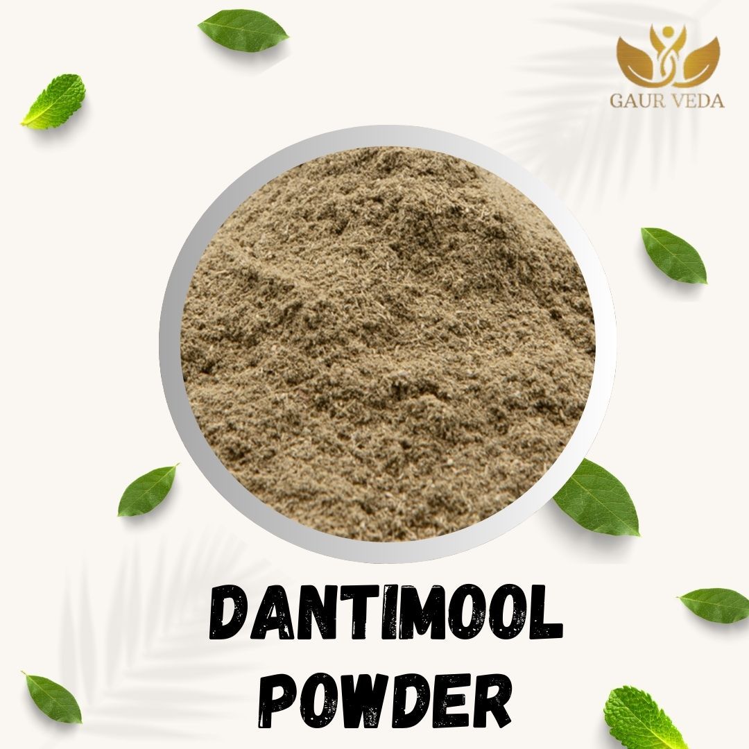 GAURVEDA Danitimool Powder 100% Natural & Pure | Traditional Ayurvedic Herb/Seed/Powder | Supports Wellness & Daily Health | Ideal for Herbal Remedies, 300 Grams