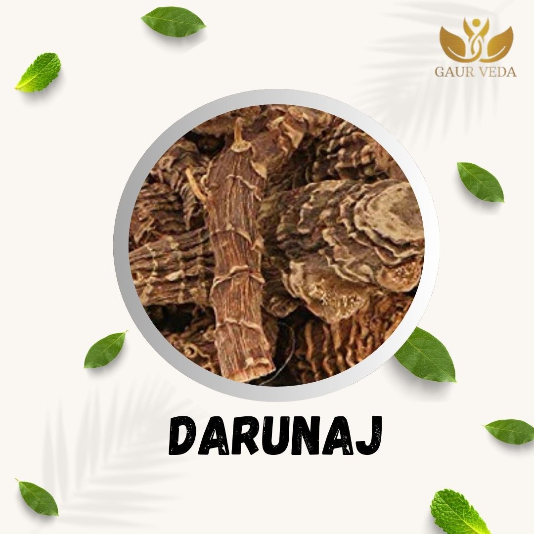 GAURVEDA Darunaj 100% Natural & Pure | Traditional Ayurvedic Herb/Seed/Powder | Supports Wellness & Daily Health | Ideal for Herbal Remedies, 100 Grams