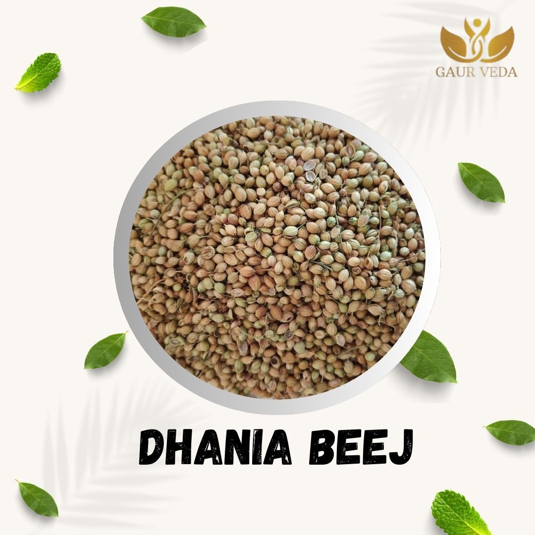 GAURVEDA Dhaniya Beej (Coriander Seeds) - Fresh, Aromatic & Flavorful, Spice for Authentic Indian Cooking, Natural and Pure | 100 Grams
