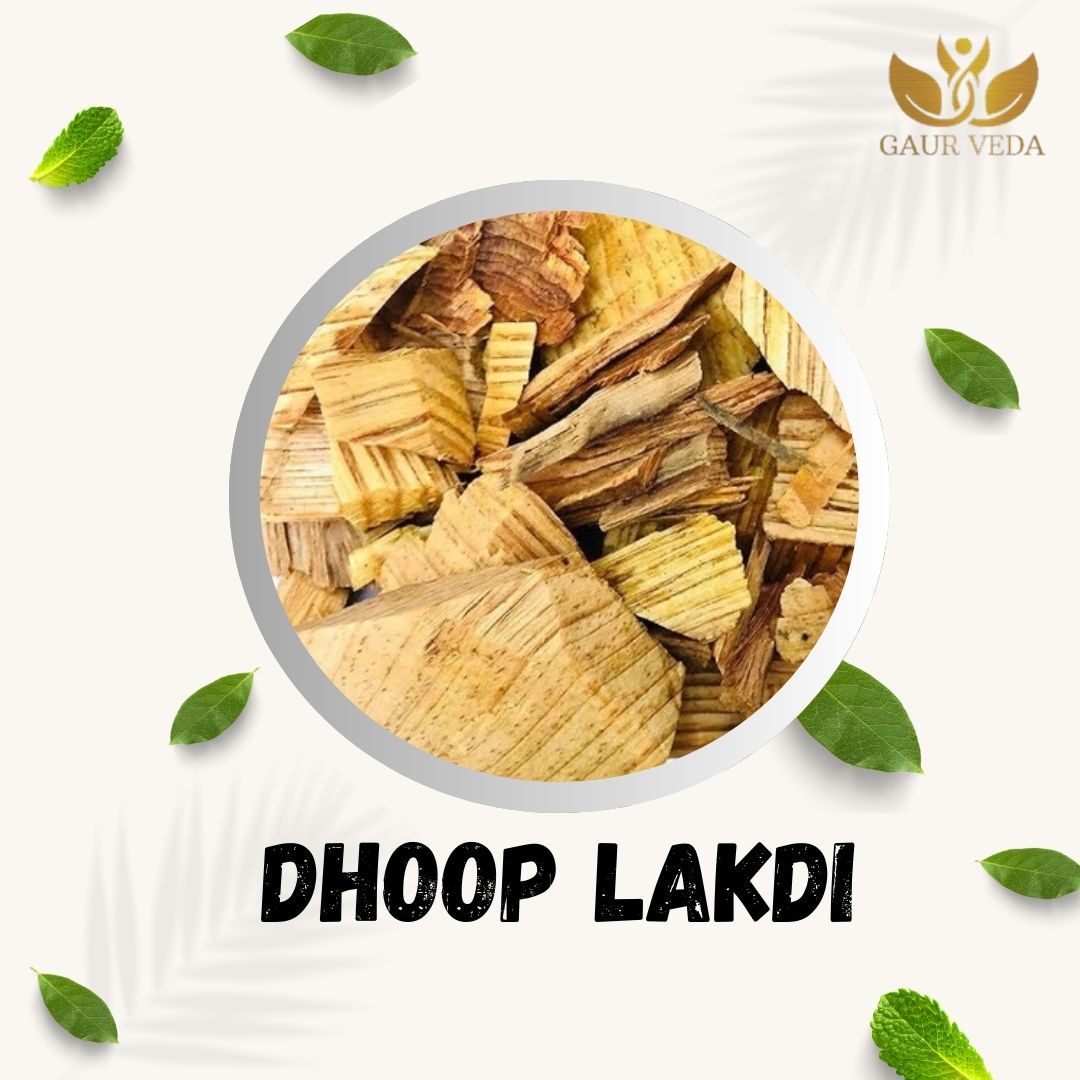 GAURVEDA Dhoop lakdi 100% Natural & Pure | Traditional Ayurvedic Herb/Seed/Powder | Supports Wellness & Daily Health | Ideal for Herbal Remedies, 100 Grams