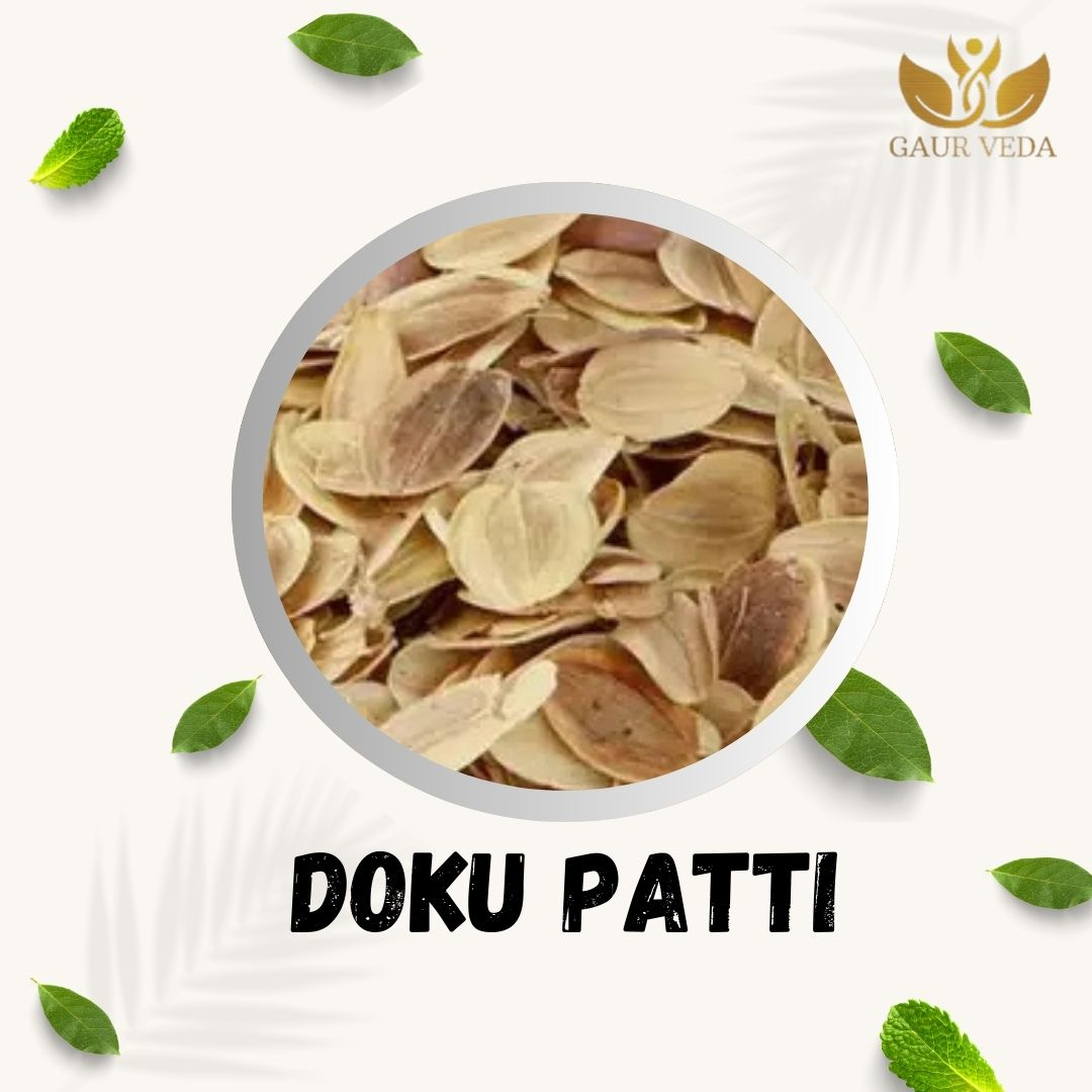 GAURVEDA Doku Patti 100% Natural & Pure | Traditional Ayurvedic Herb/Seed/Powder | Supports Wellness & Daily Health | Ideal for Herbal Remedies, 100 Grams