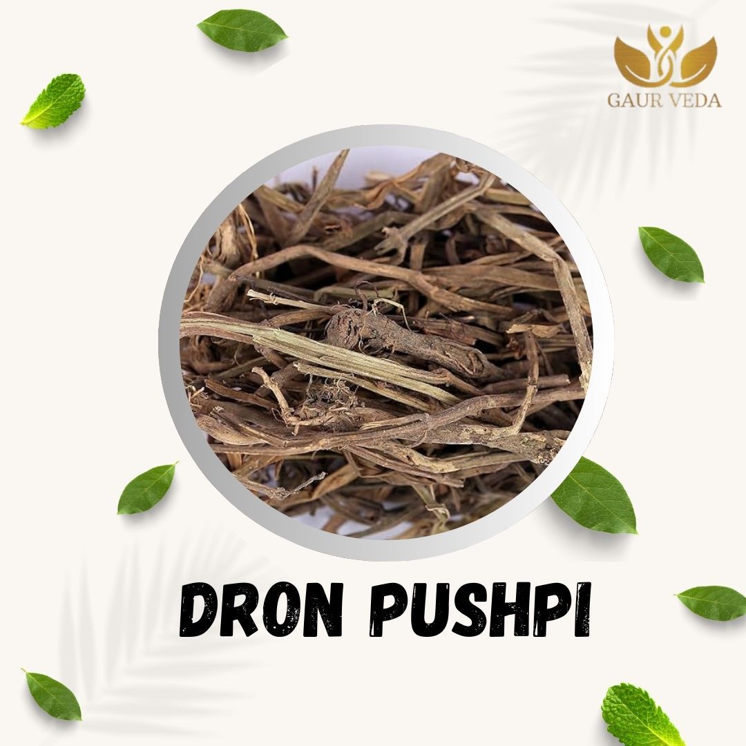 GAURVEDA Dronpushpi 100% Natural & Pure | Traditional Ayurvedic Herb/Seed/Powder | Supports Wellness & Daily Health | Ideal for Herbal Remedies, 100 Grams