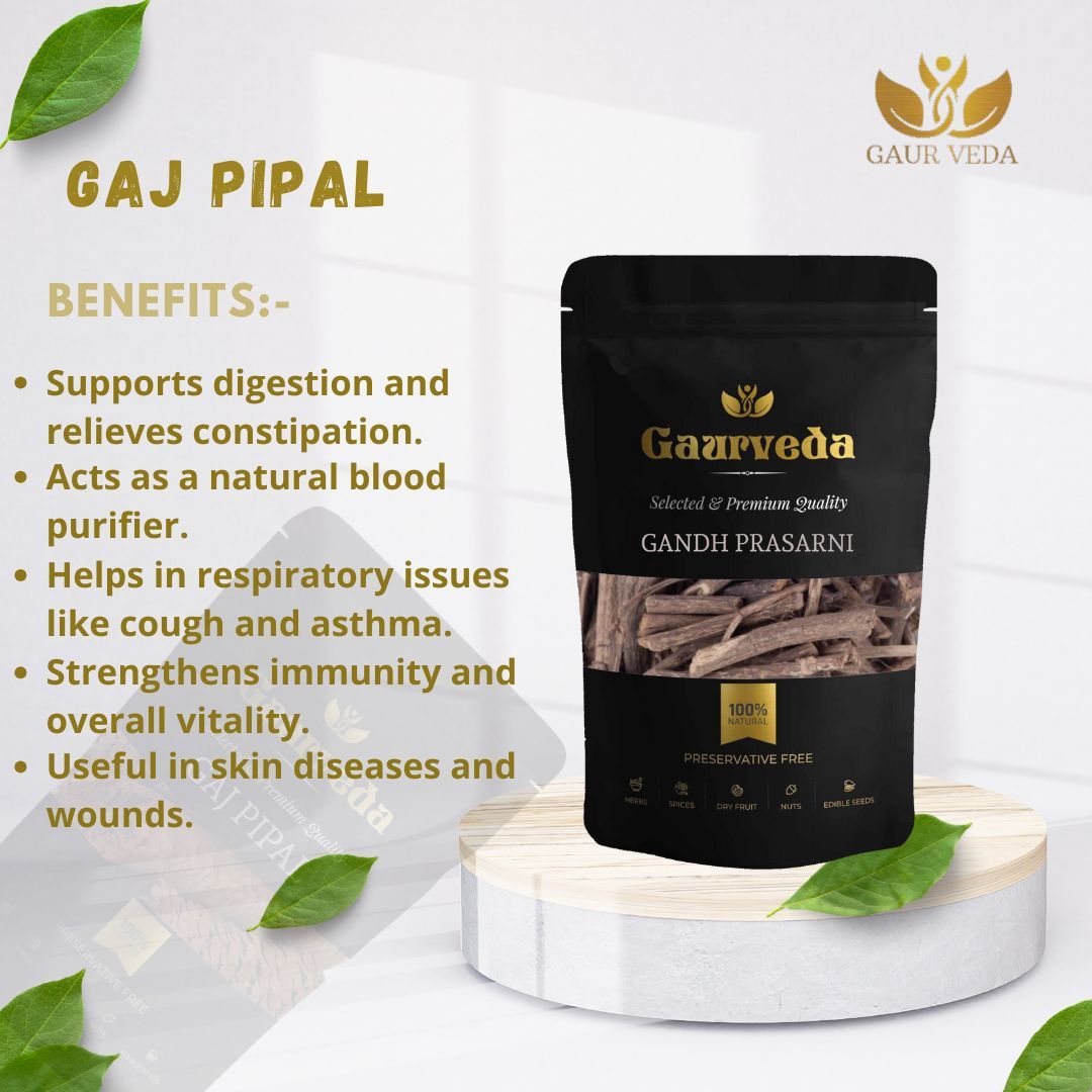 GAURVEDA Gaj pipal 100% Natural & Pure | Traditional Ayurvedic Herb/Seed/Powder | Supports Wellness & Daily Health | Ideal for Herbal Remedies, 100 Grams