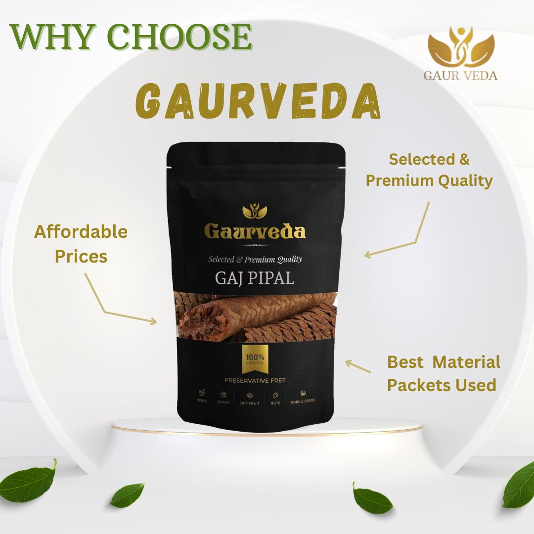 GAURVEDA Gaj pipal 100% Natural & Pure | Traditional Ayurvedic Herb/Seed/Powder | Supports Wellness & Daily Health | Ideal for Herbal Remedies, 100 Grams