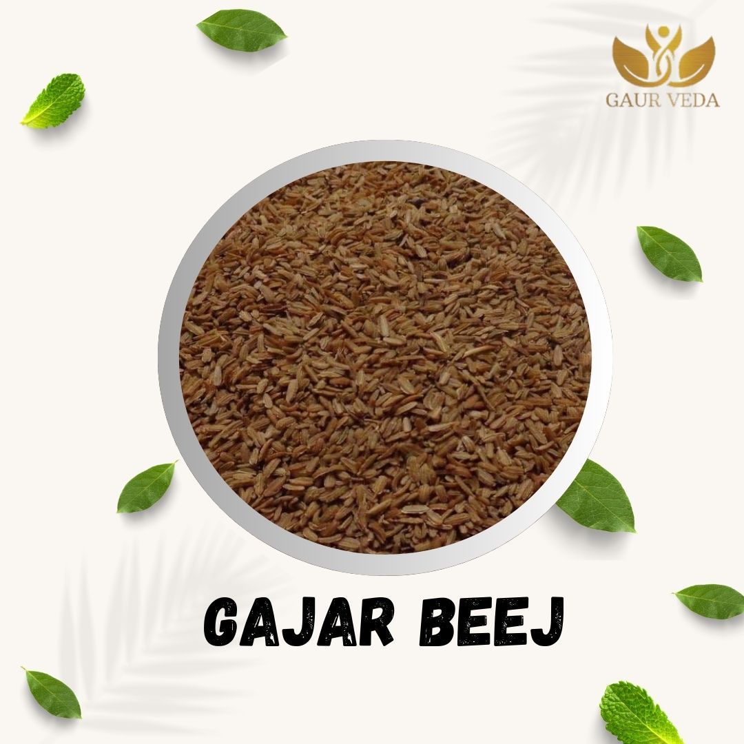 GAURVEDA Gajar Beej (Carrot Seeds) - for Home Gardening & Healthy Culinary Use | Fresh & Natural Indian Seeds for Sprouting | 1000 Grams