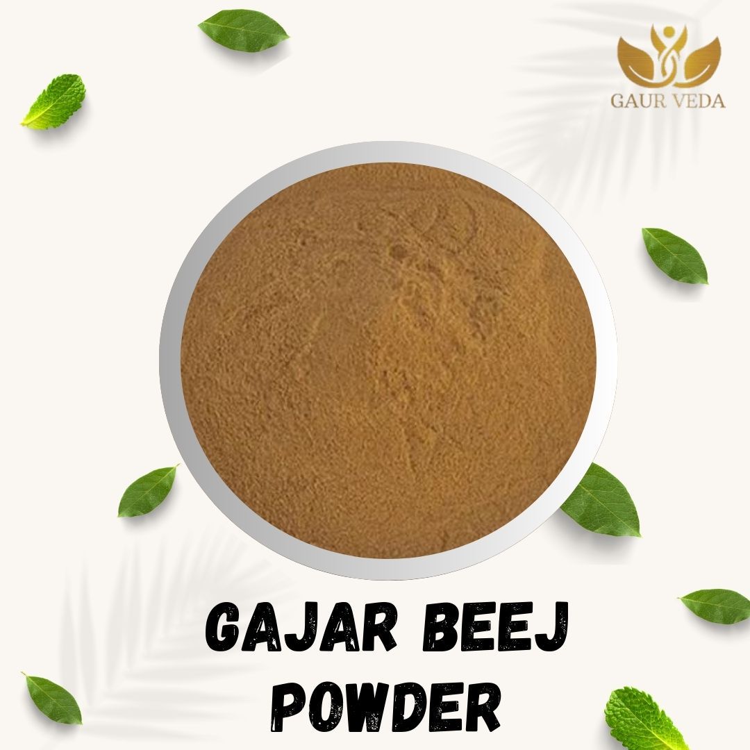 GAURVEDA Gajar Beej Powder: Pure Carrot Seed Spice for Traditional Indian Cooking & Natural Wellness |, Freshly Ground (Gajar Seeds) | 100 Grams