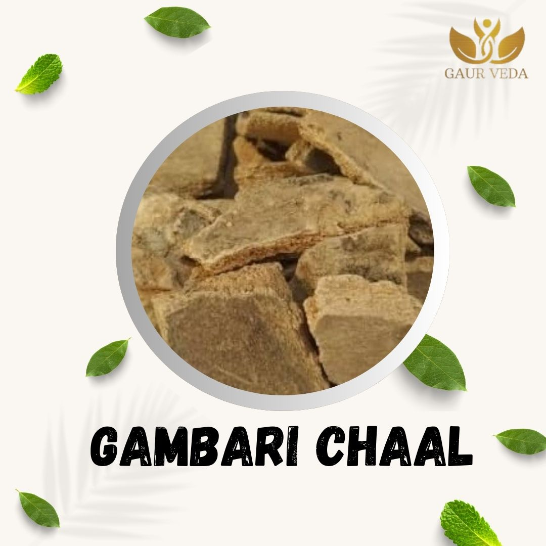GAURVEDA Gambari chaal 100% Natural & Pure | Traditional Ayurvedic Herb/Seed/Powder | Supports Wellness & Daily Health | Ideal for Herbal Remedies, 100 Grams