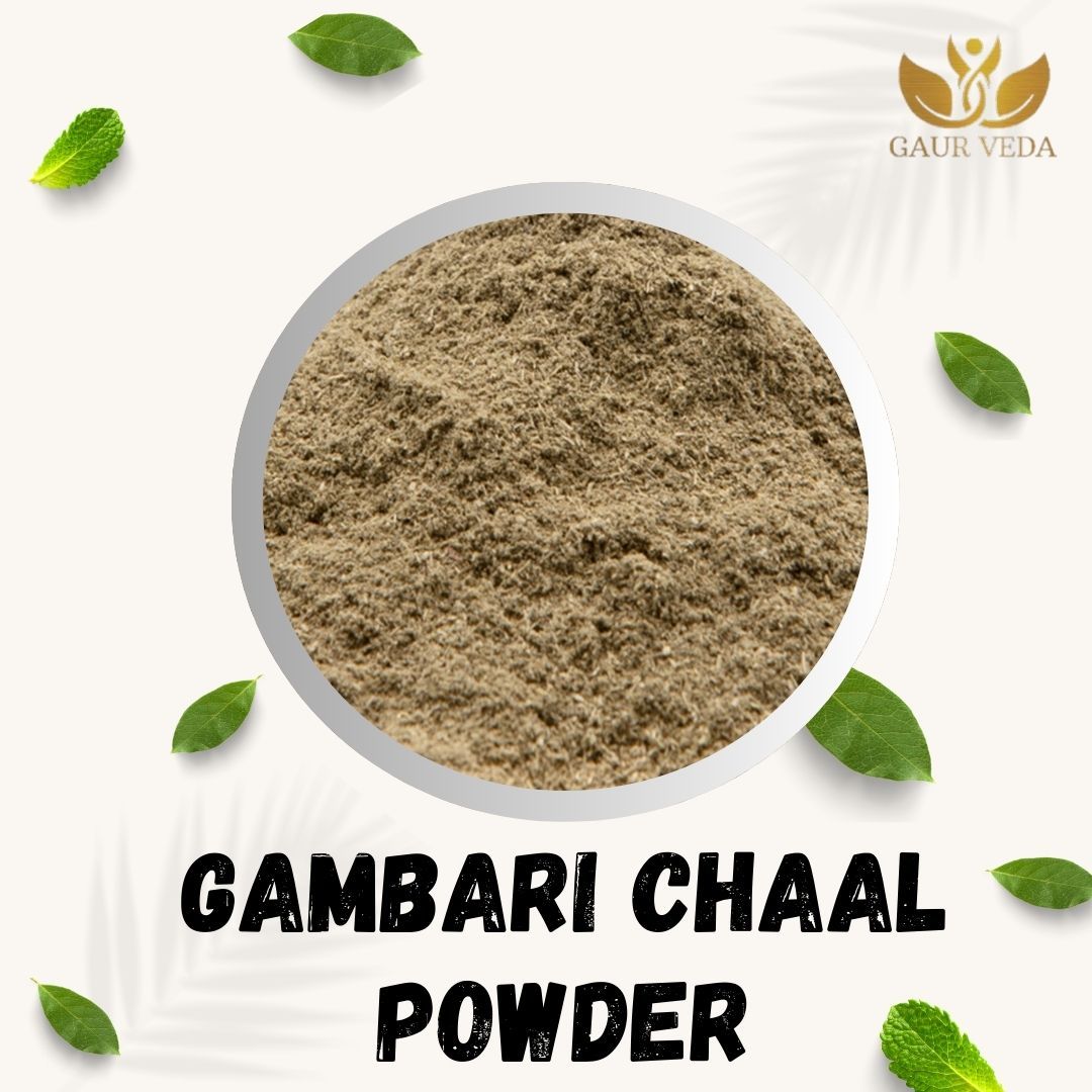 GAURVEDA Gambari chaal Powder 100% Natural & Pure | Traditional Ayurvedic Herb/Seed/Powder | Supports Wellness & Daily Health | Ideal for Herbal Remedies, 100 Grams