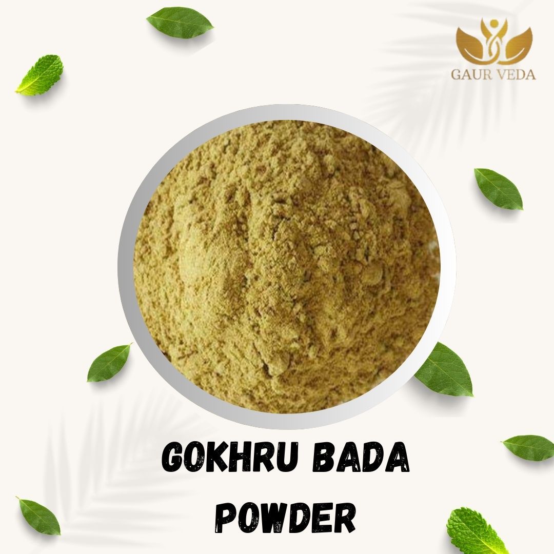 Gaurveda Gokhru Bada Powder - Tribulus Terrestris Seeds Powder - Small Caltrops Powderr - Pure & Natural (100 Grams)