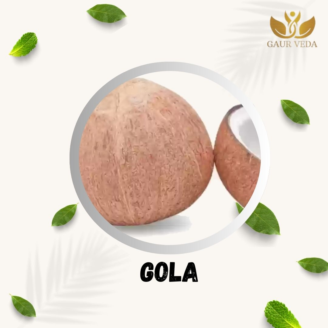 Gaurveda Dry Coconut (Gola Saboot) 2 Pieces (Medium), Fresh