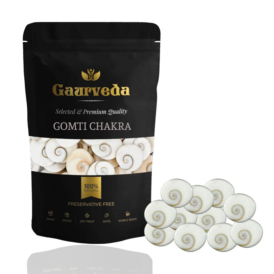 GAURVEDA Gomati Chakra Original - 11 Pieces - Gomti Chakra Original - Natural