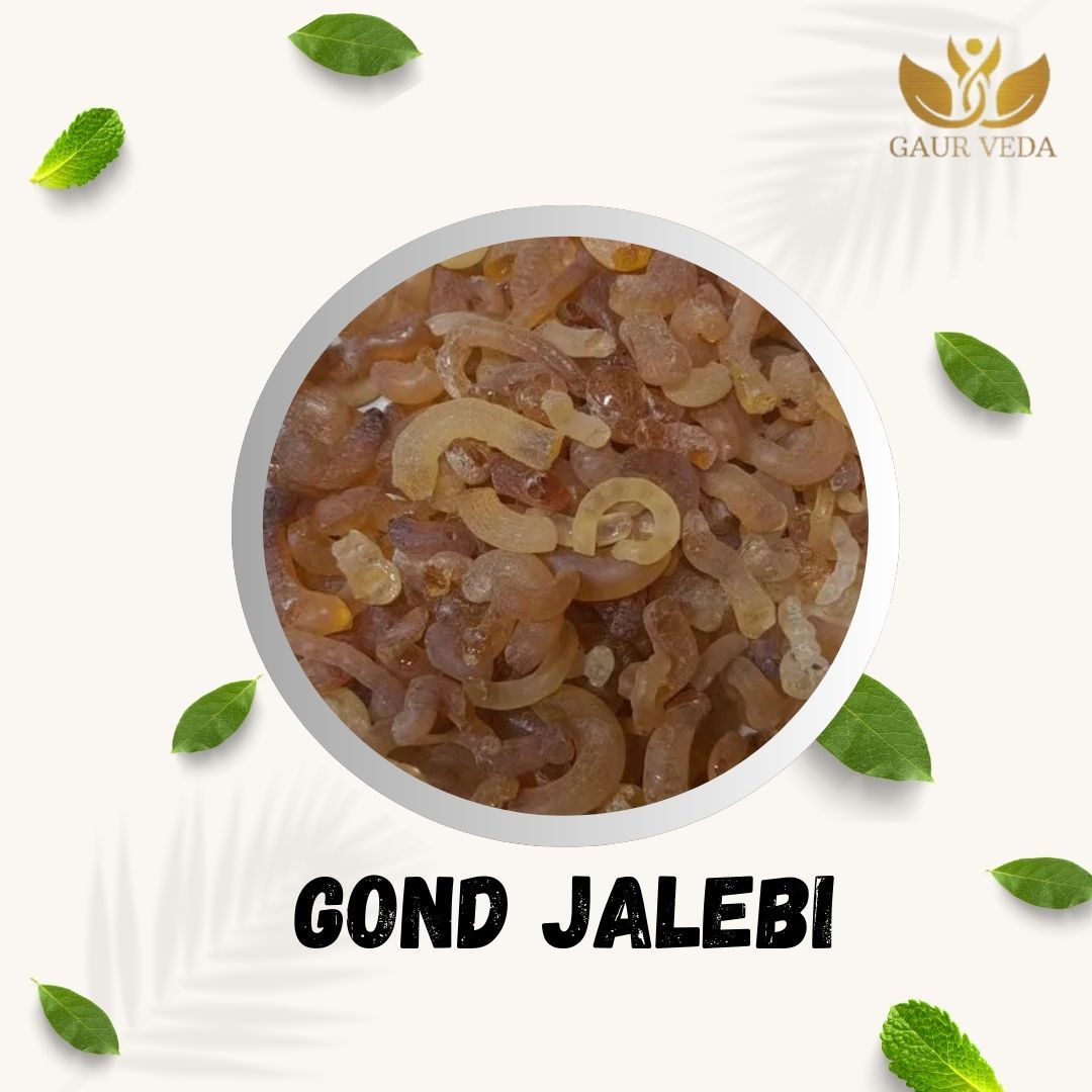 GAURVEDA Gond Jalebi | Traditional Festive Sweet | Healthy Indian Dessert | Energy Boosting Snack | Natural Ingredients | Homemade Taste | Delicious Treat | 100 Grams