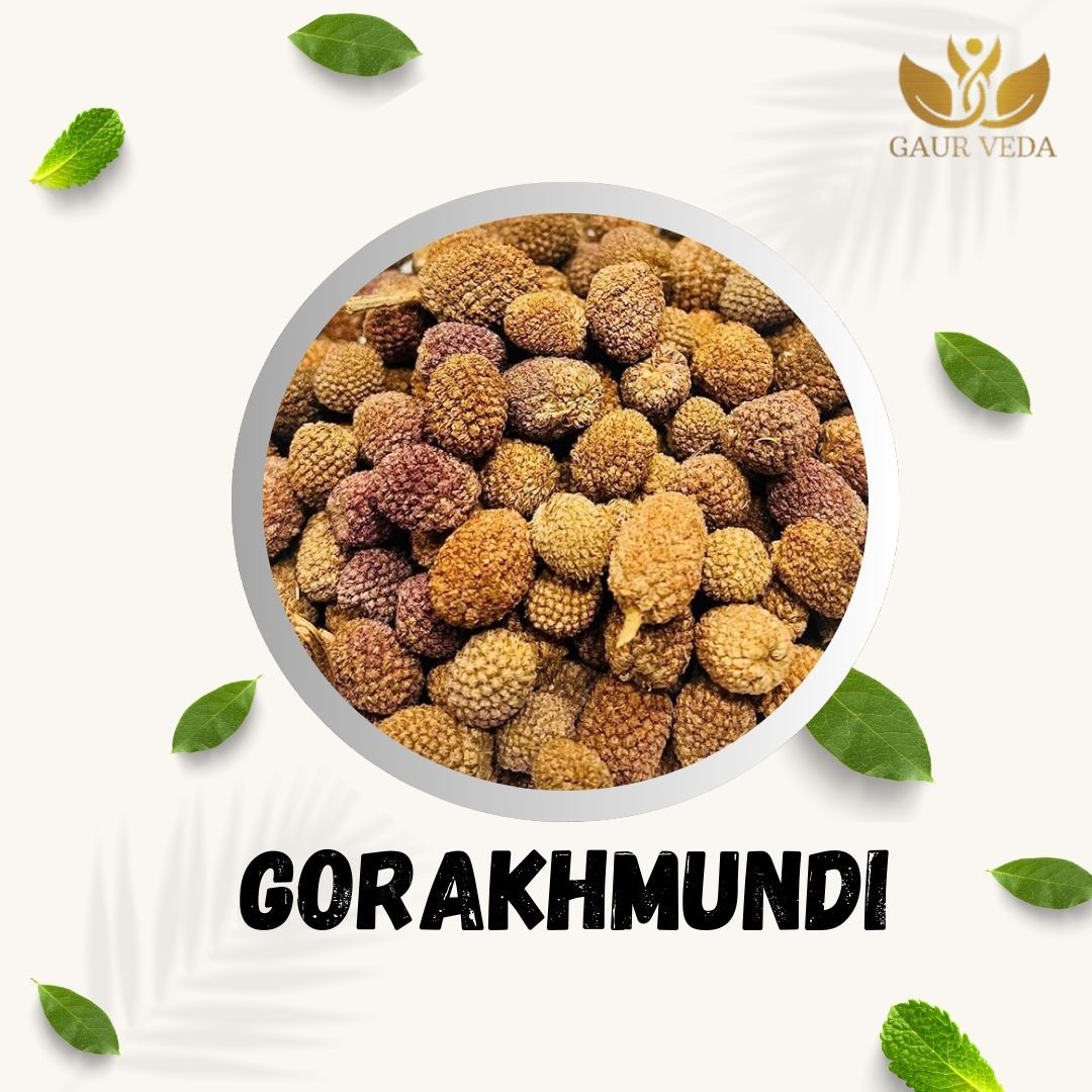 GAURVEDA Gorakhmundi 100% Natural & Pure | Traditional Ayurvedic Herb/Seed/Powder | Supports Wellness & Daily Health | Ideal for Herbal Remedies, 100 Grams