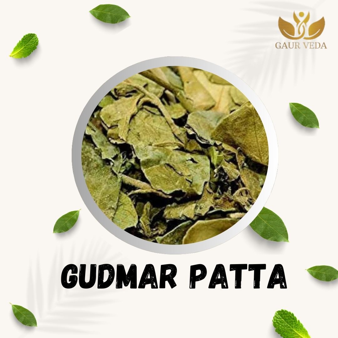 GAURVEDA Gudmar 100% Natural & Pure | Traditional Ayurvedic Herb/Seed/Powder | Supports Wellness & Daily Health | Ideal for Herbal Remedies, 100 Grams