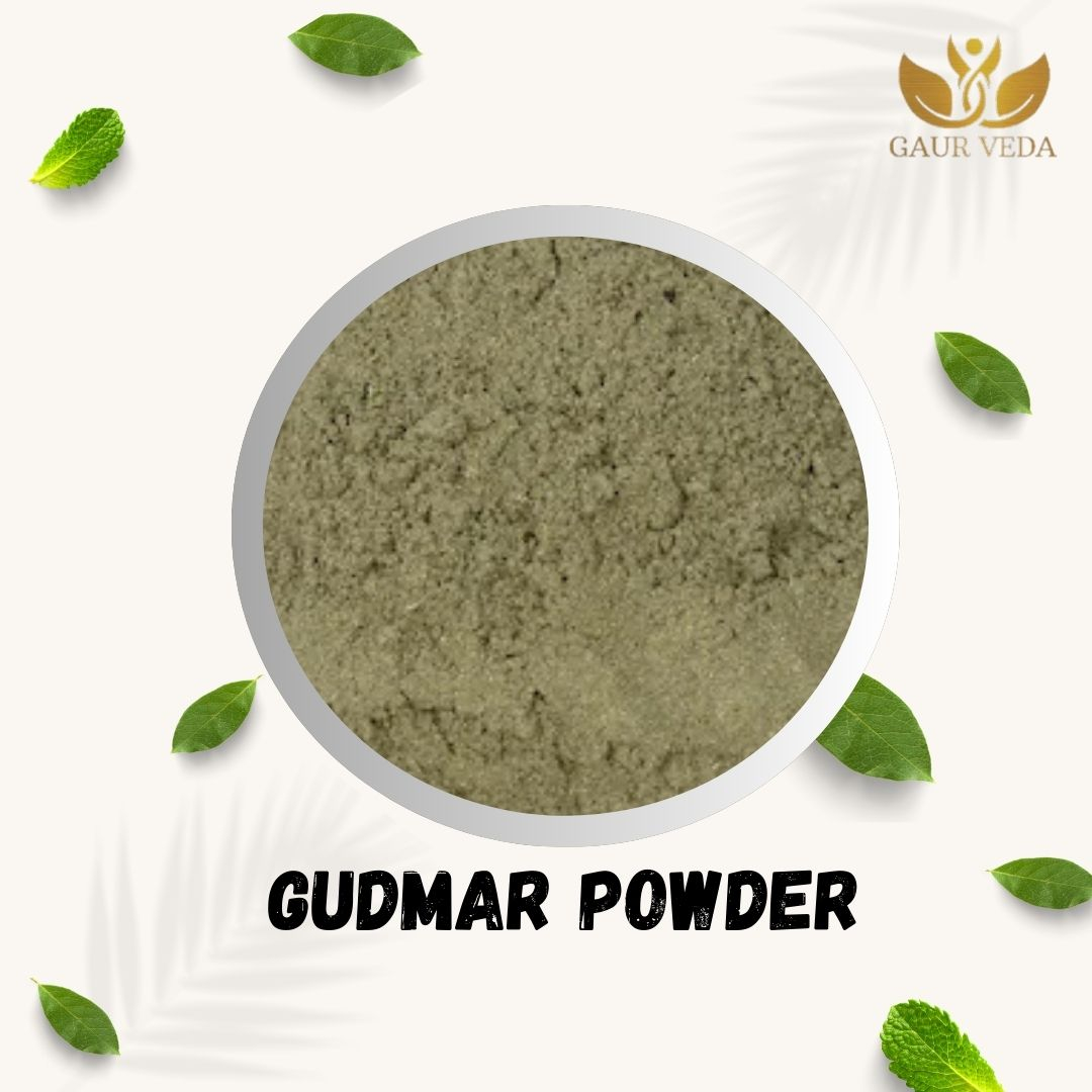 GAURVEDA Gudmar Powder 100% Natural & Pure | Traditional Ayurvedic Herb/Seed/Powder | Supports Wellness & Daily Health | Ideal for Herbal Remedies, 100 Grams