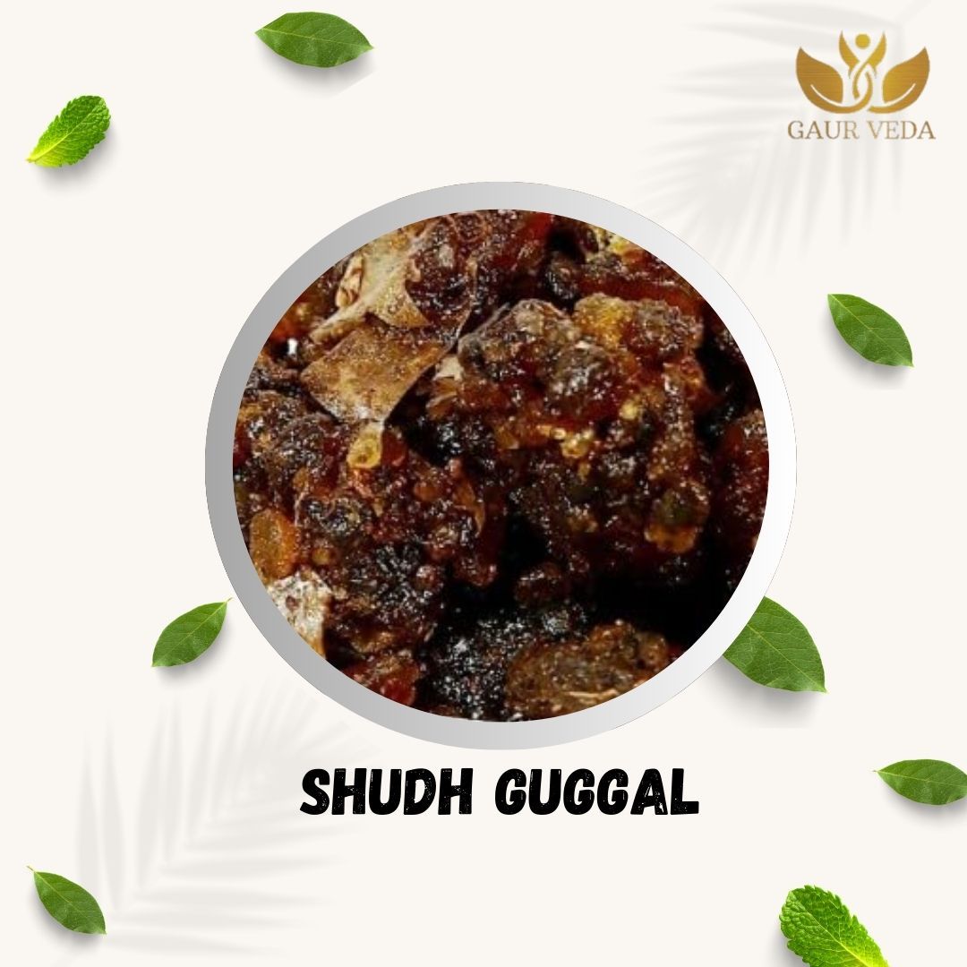 GAURVEDA Guggal Shudh (250 Gm) for Pooja Use | Guggal/Gugal/Guggul/Guggal for Dhoop | A+ Quality