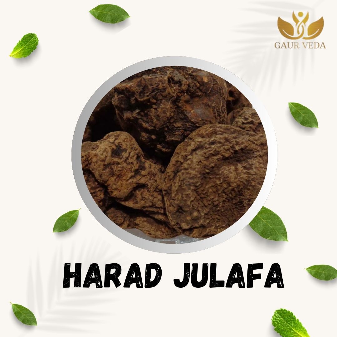 GAURVEDA Harad julafa 100% Natural & Pure | Traditional Ayurvedic Herb/Seed/Powder | Supports Wellness & Daily Health | Ideal for Herbal Remedies, 100 Grams